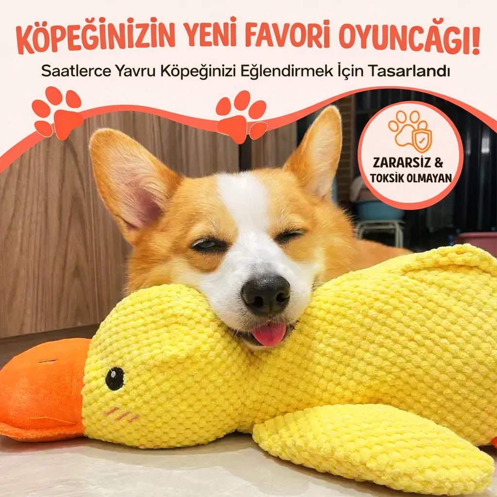 DurableDuck™ Kaygı Giderici Oyuncak - Petnivo™
